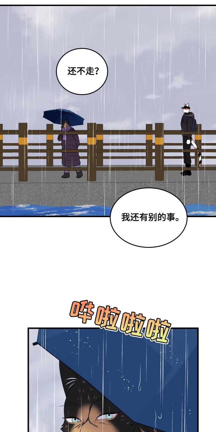 灵猫欧米伽又叫什么漫画,第108话1图