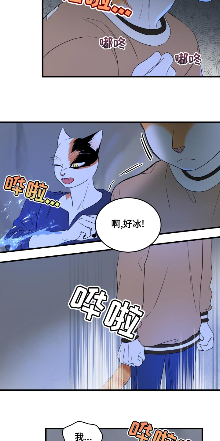 灵猫欧米伽免费阅读漫画,第95话2图