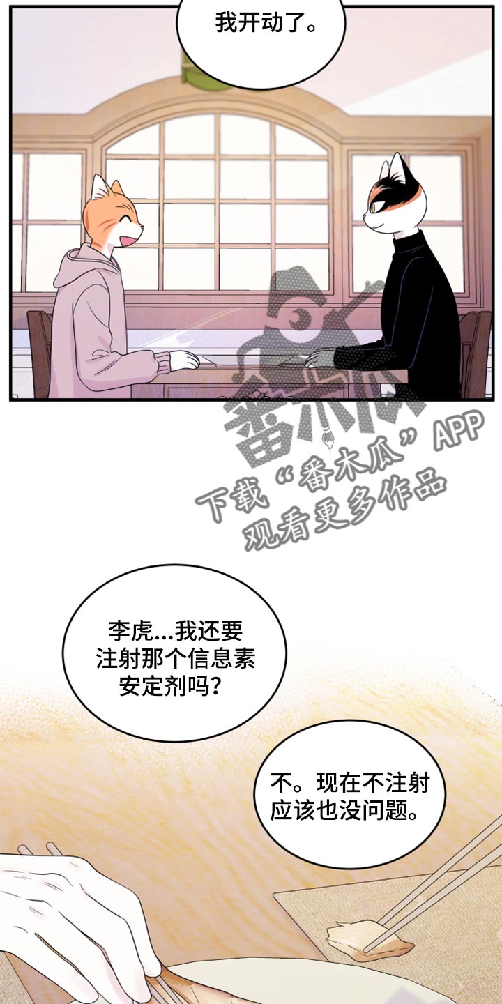 灵猫欧米伽视频漫画,第73话2图