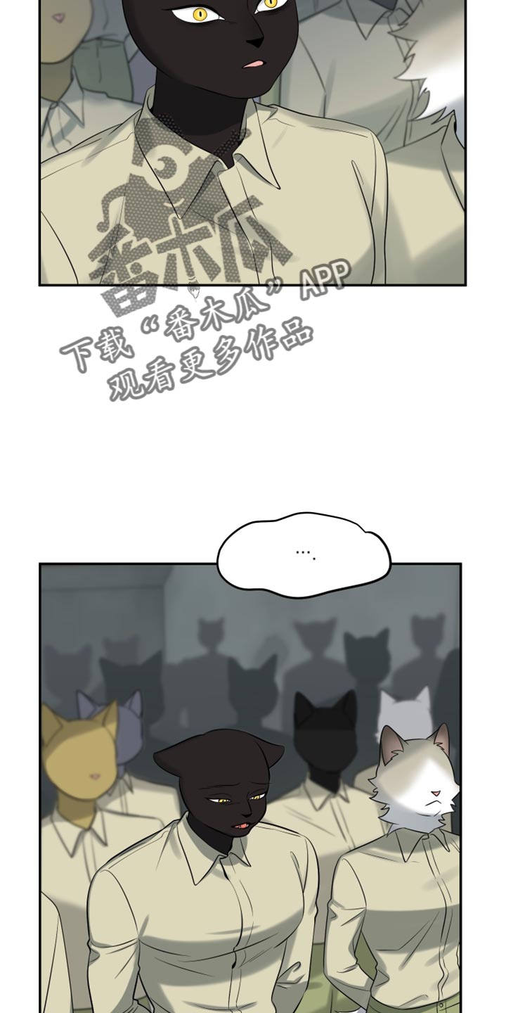 灵猫欧米伽漫画免费双男主漫画,第151话2图