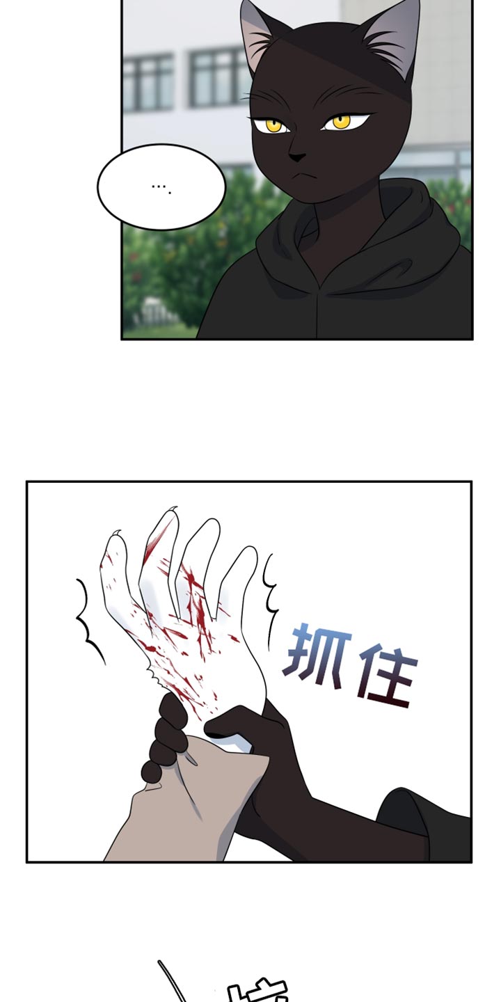 灵猫欧米伽合集漫画,第140话1图