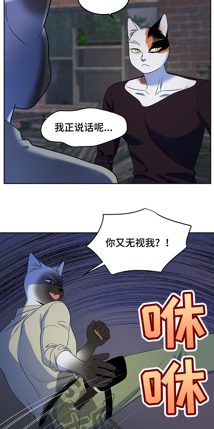 灵猫欧米伽又叫什么漫画,第39话1图