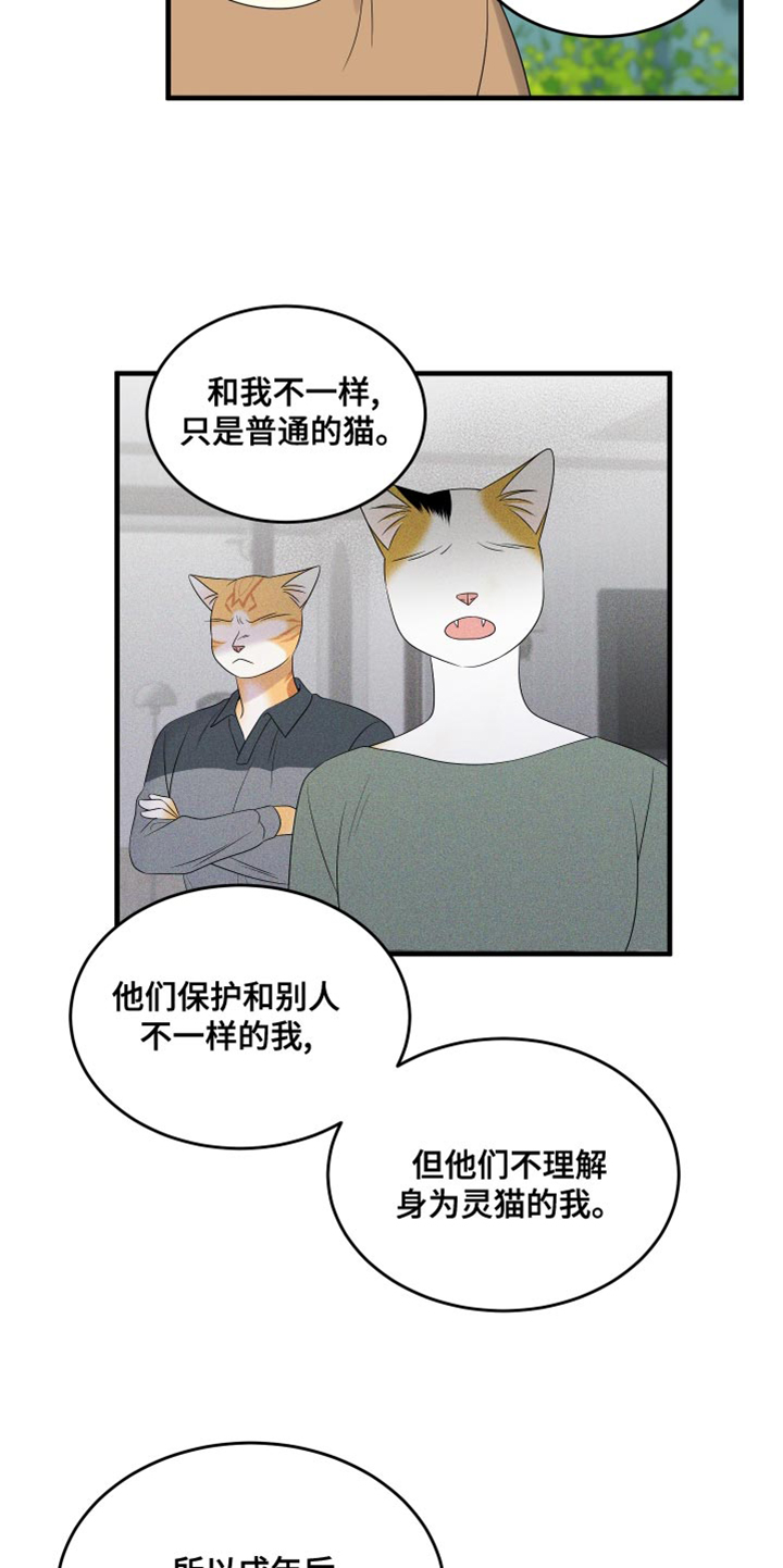 灵猫欧米伽完整版漫画,第98话2图