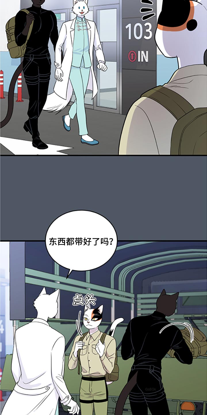 灵猫欧米伽3漫画,第79话2图