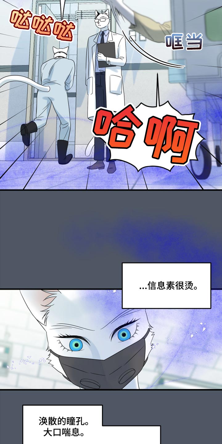 灵猫欧米伽什么时候更新漫画,第85话2图