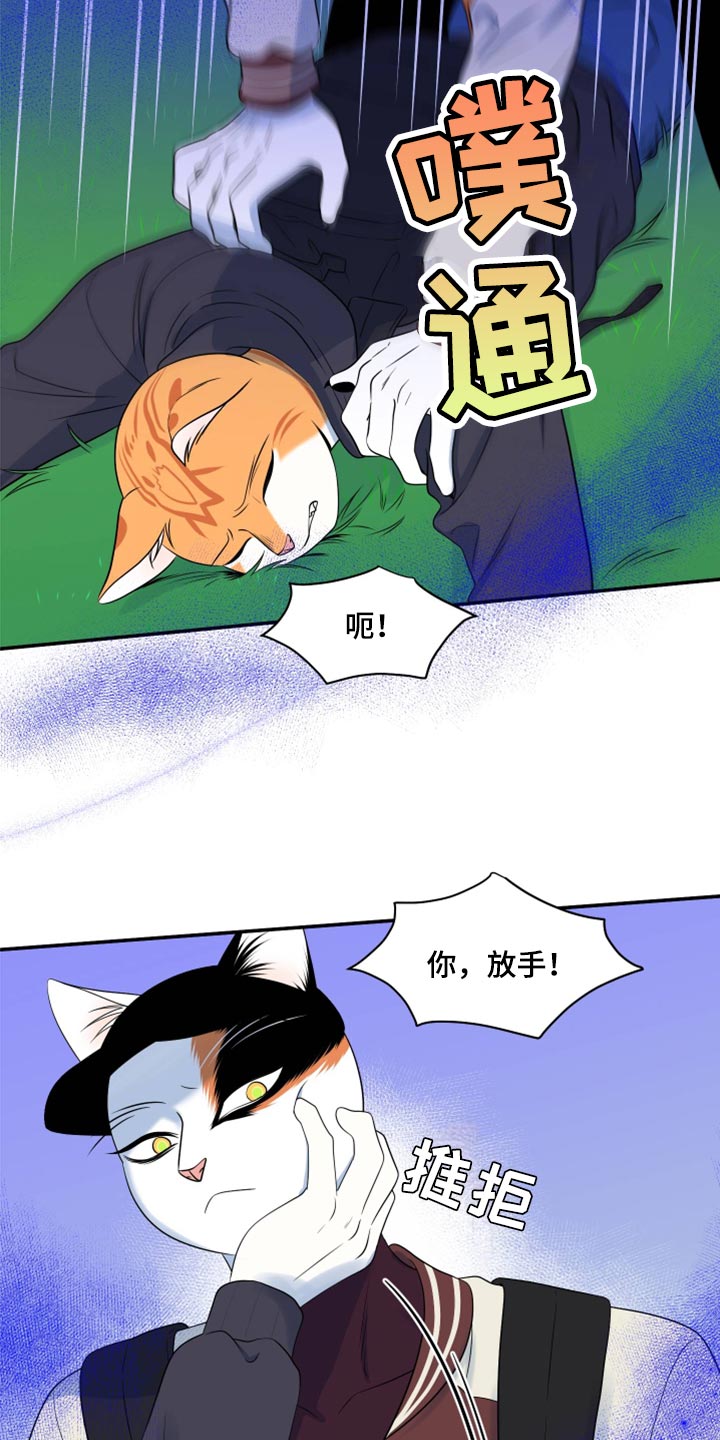 灵猫欧米伽在哪里免费看漫画,第61话1图