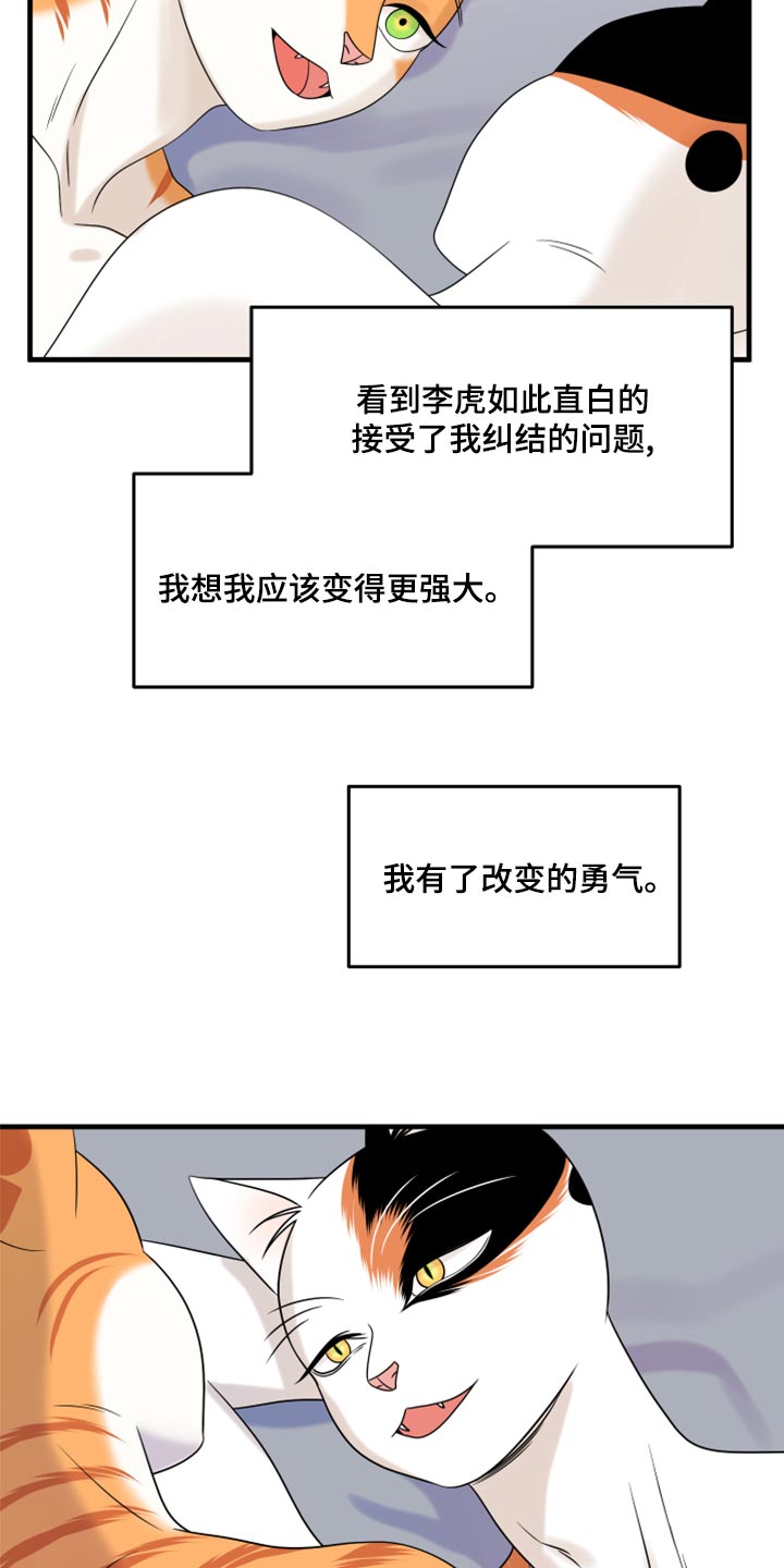 灵猫是什么动物漫画,第92话1图