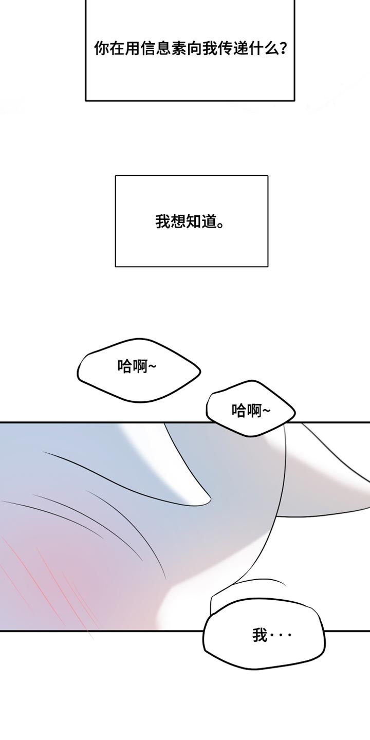 灵猫欧米伽高清漫画,第152话1图