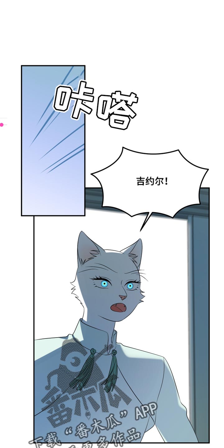 灵猫欧米伽漫画,第154话1图