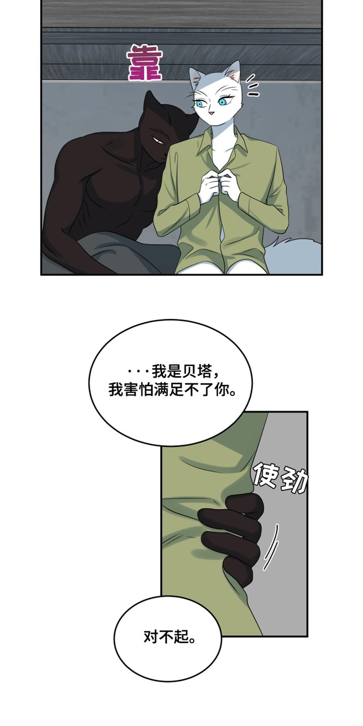 灵猫欧米伽第三季156章漫画,第153话1图