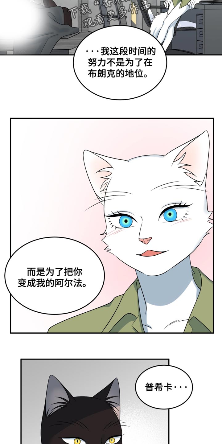 灵猫欧米伽漫画,第153话1图