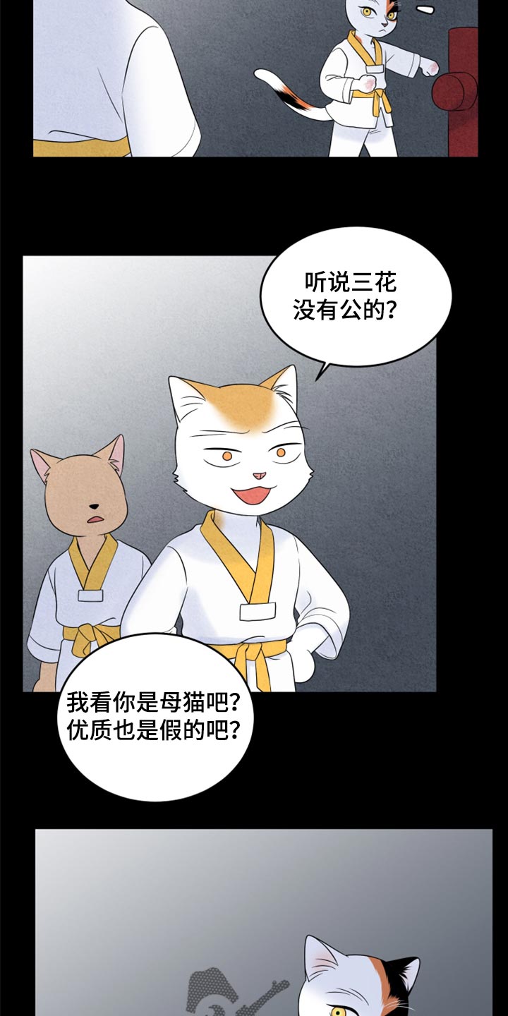 灵猫欧米伽漫画,第69话2图