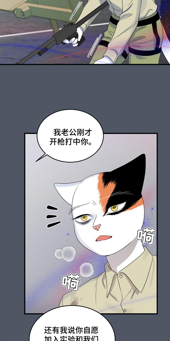 灵猫欧米伽大结局漫画,第82话2图