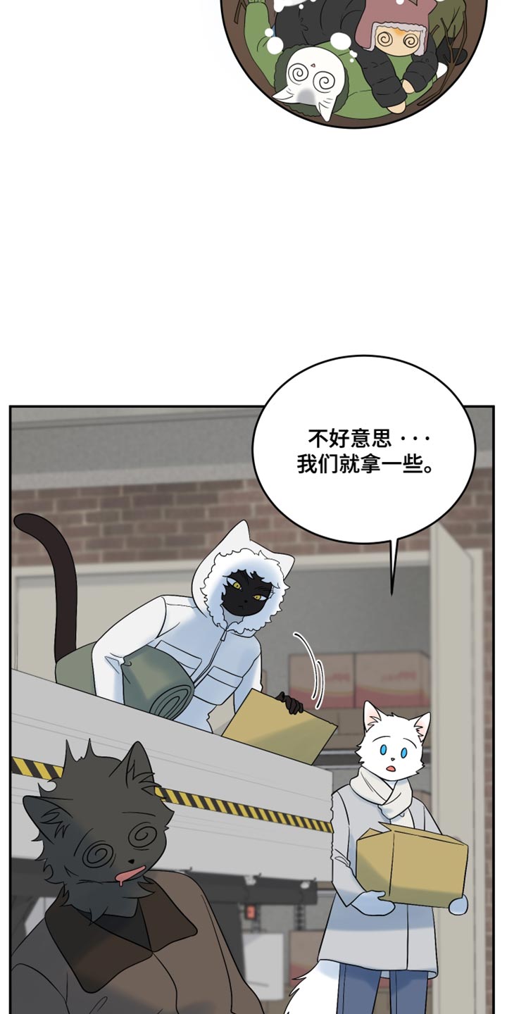 灵猫欧米伽漫画免费观看漫画,第143话2图