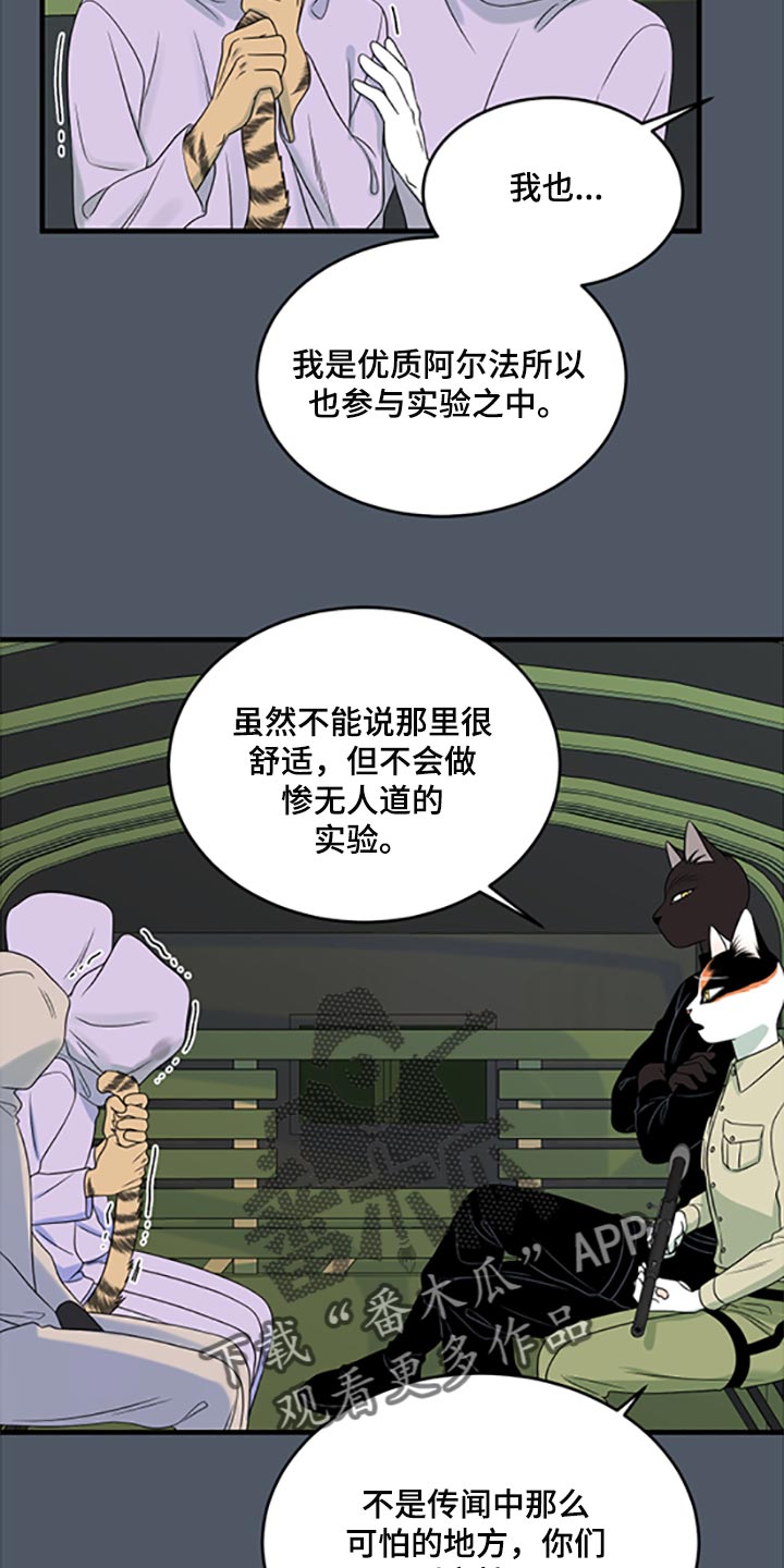 灵猫欧米伽漫画全集免费观看漫画,第80话1图