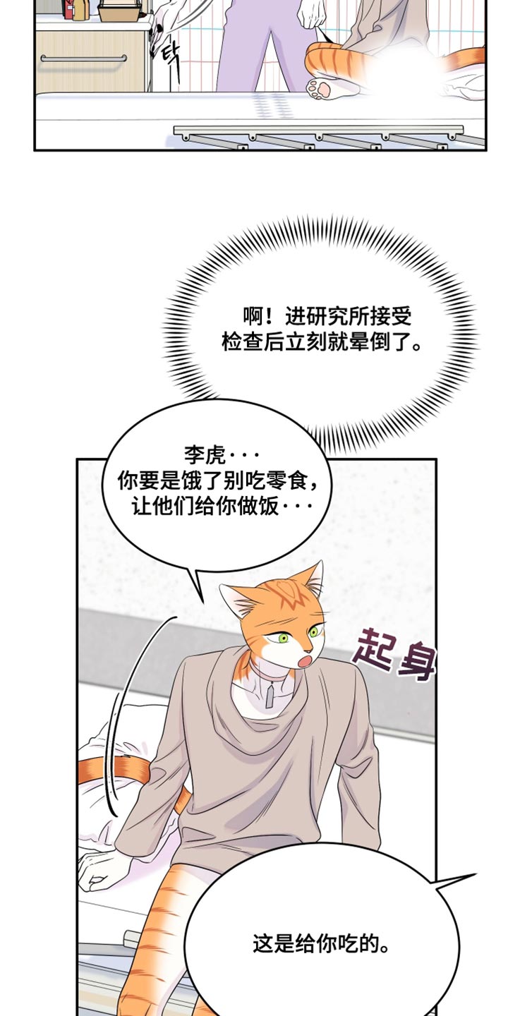 漫画灵猫欧米伽漫画,第168话1图