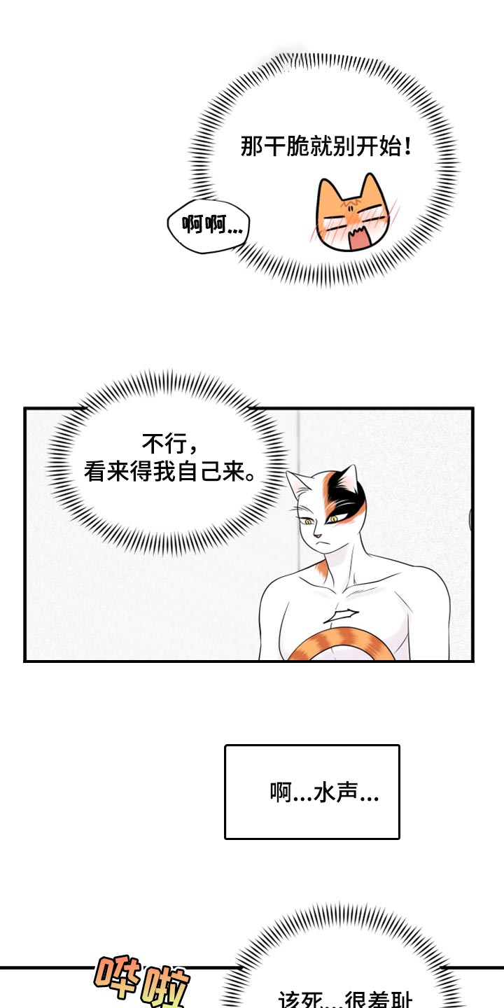 灵猫是什么动物漫画,第72话2图