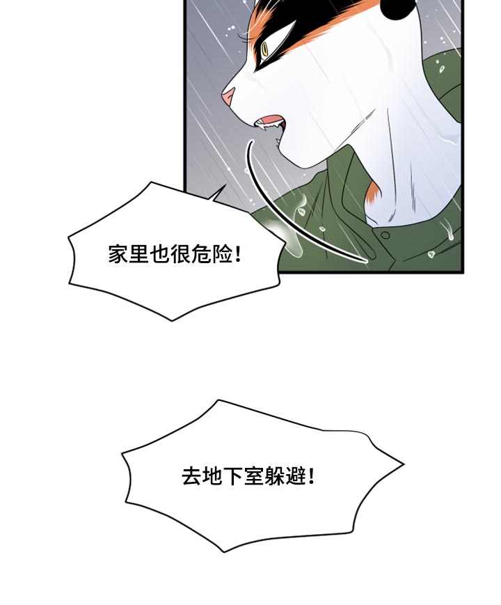 灵猫欧米伽漫画,第88话1图