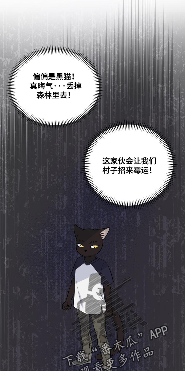 灵猫传陆知也漫画,第141话2图