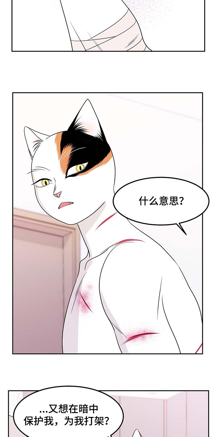 灵猫欧米伽又叫什么漫画,第45话1图