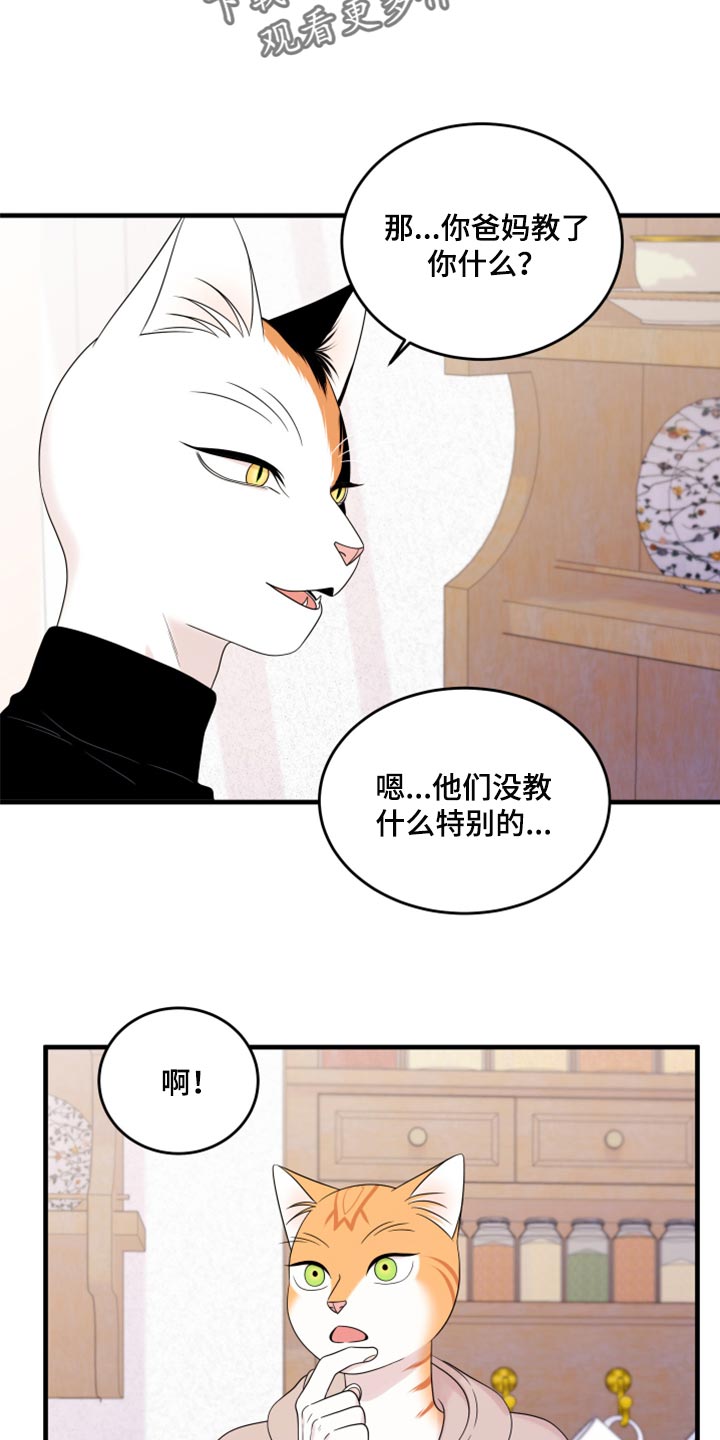 灵猫欧米伽最新话漫画,第74话2图