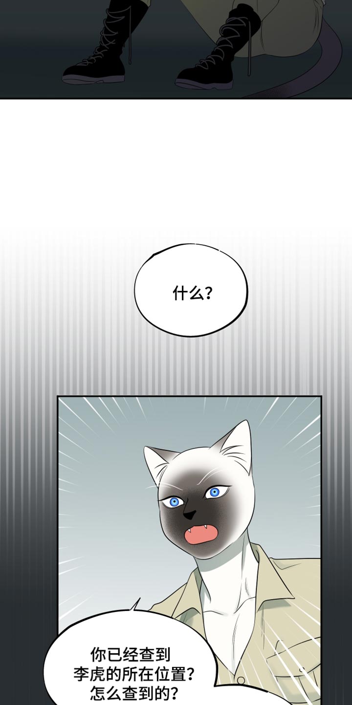 欧米伽3对猫的作用漫画,第121话1图