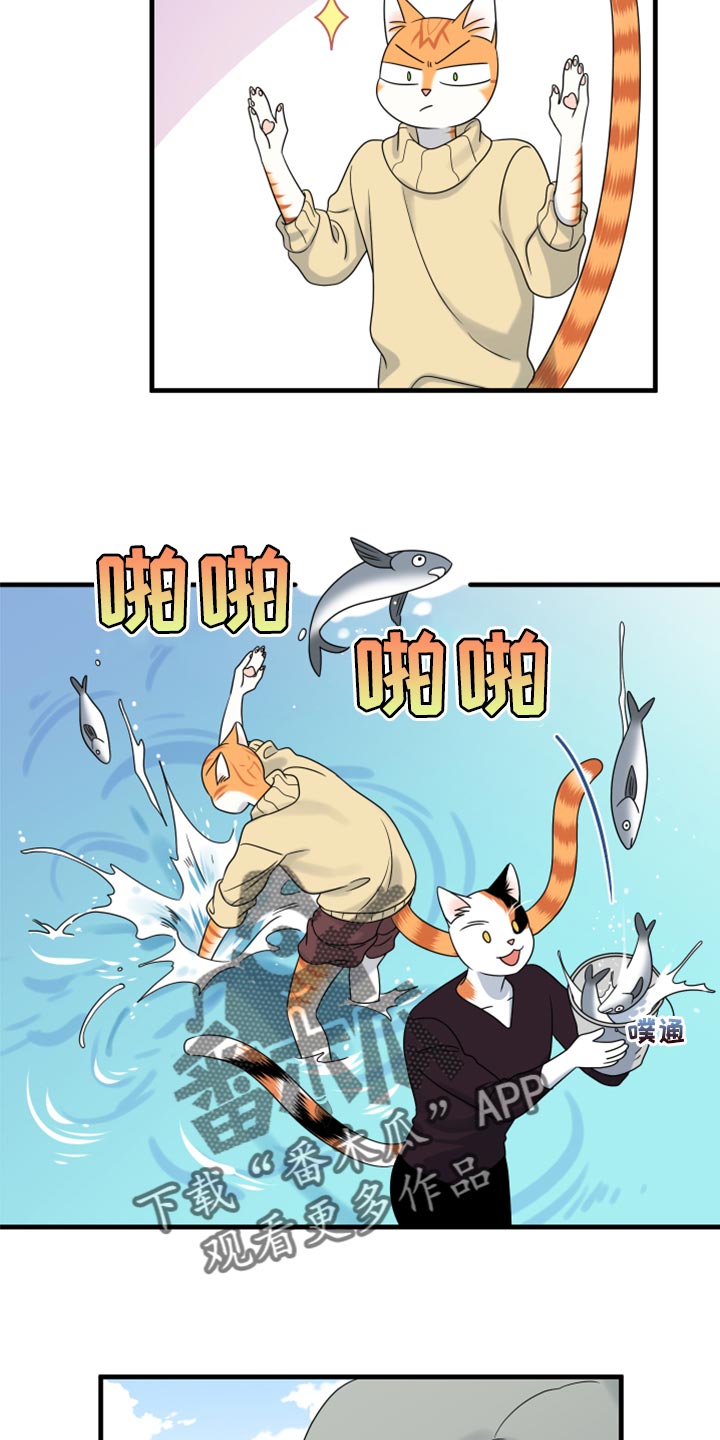 灵猫欧米伽免费漫画,第87话1图