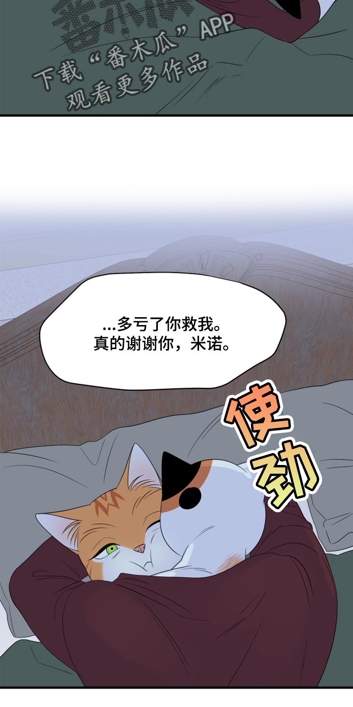 灵猫传下载漫画,第66话2图