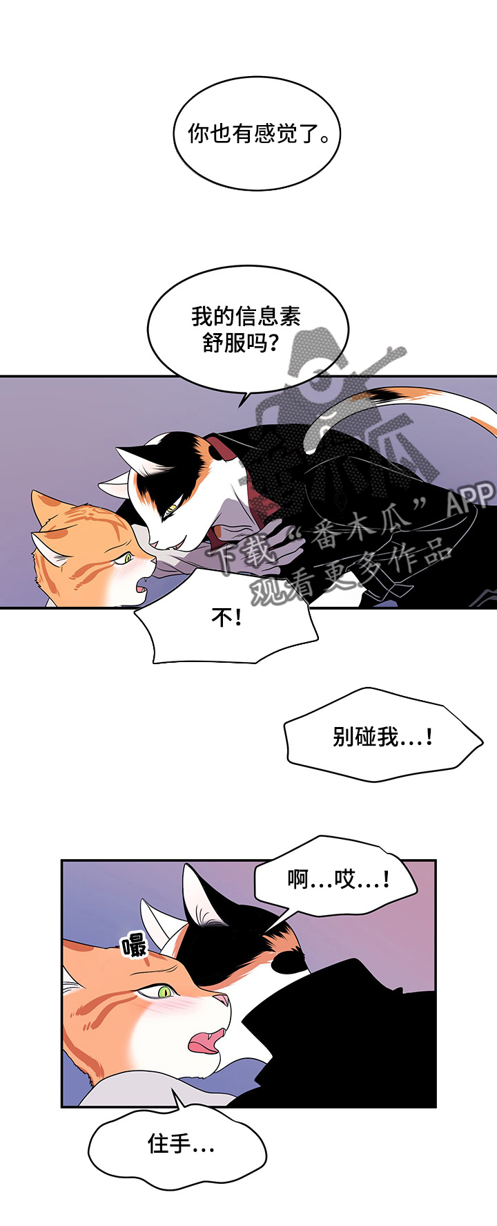 灵猫欧米伽完整版漫画,第3话2图