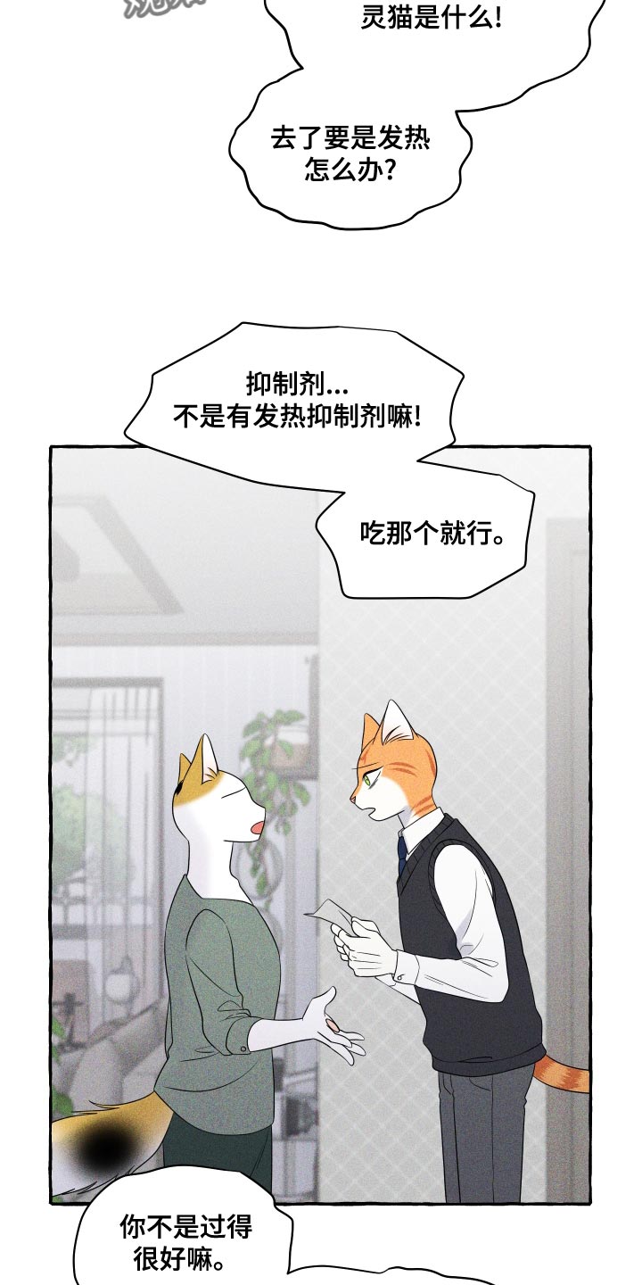 灵猫欧米伽双猫漫画,第97话1图