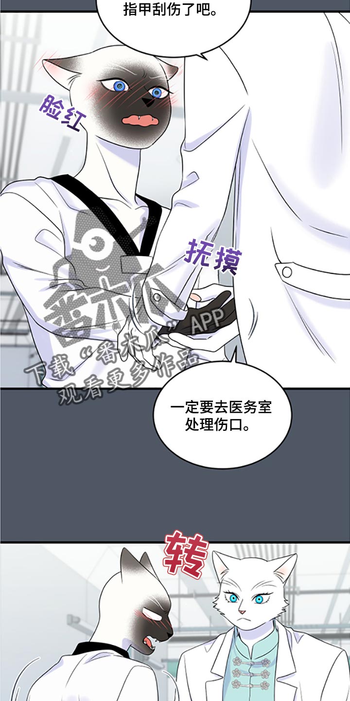 灵猫欧米伽漫画全集免费下拉式漫画,第77话1图