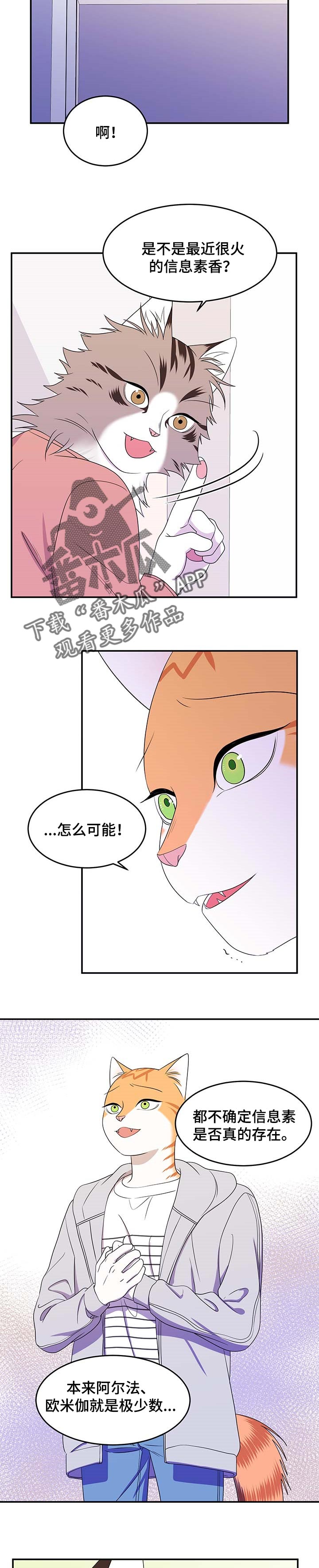 灵猫欧米伽2漫画,第19话2图