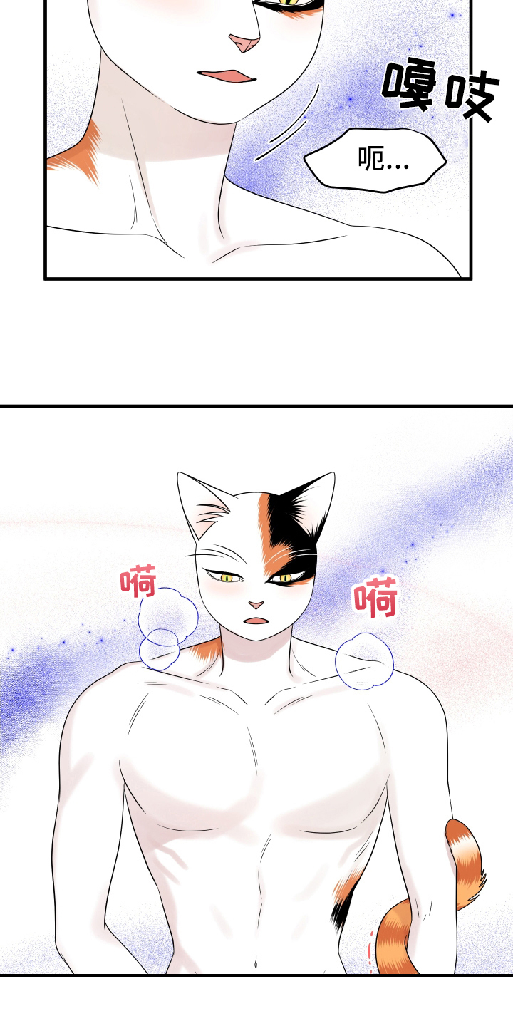 灵猫一起画画画漫画,第105话1图