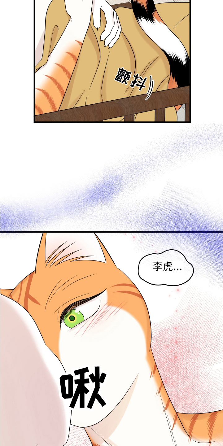 灵猫欧米伽免费阅读漫画,第106话1图