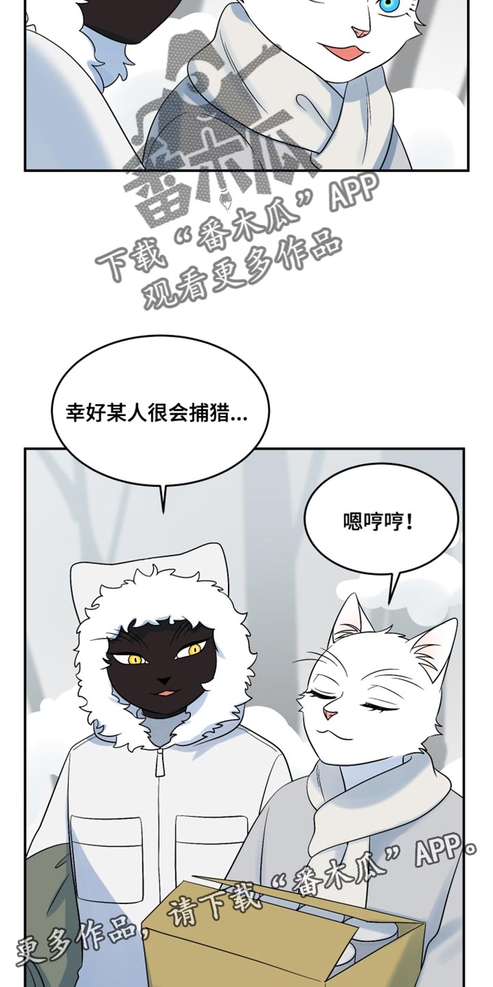 灵猫欧米伽漫画,第143话1图