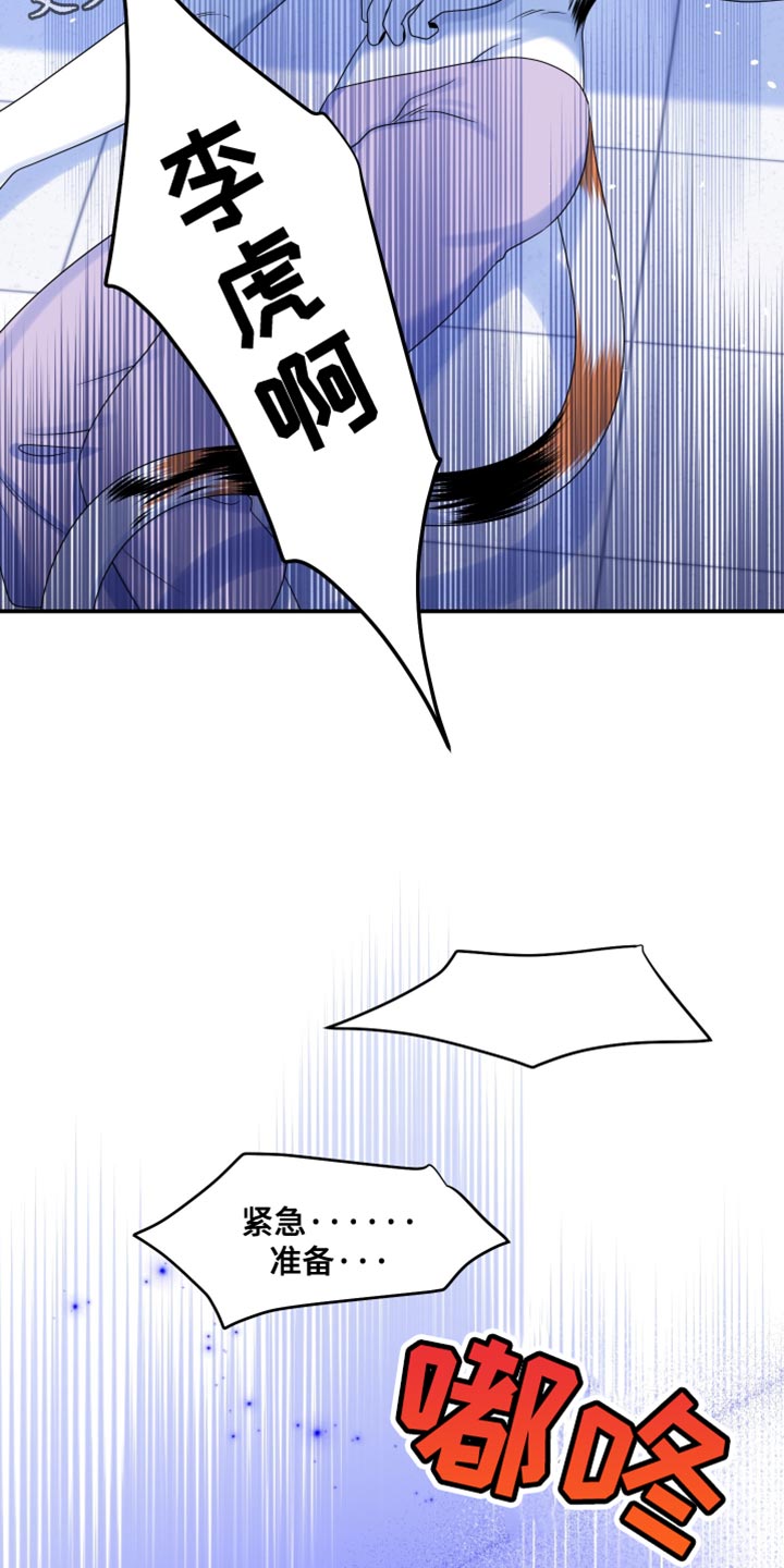 灵猫欧米伽漫画,第165话1图