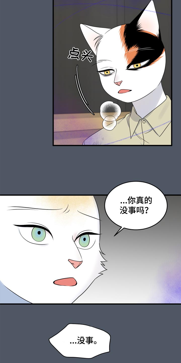 灵猫欧米伽免费阅读漫画,第83话2图