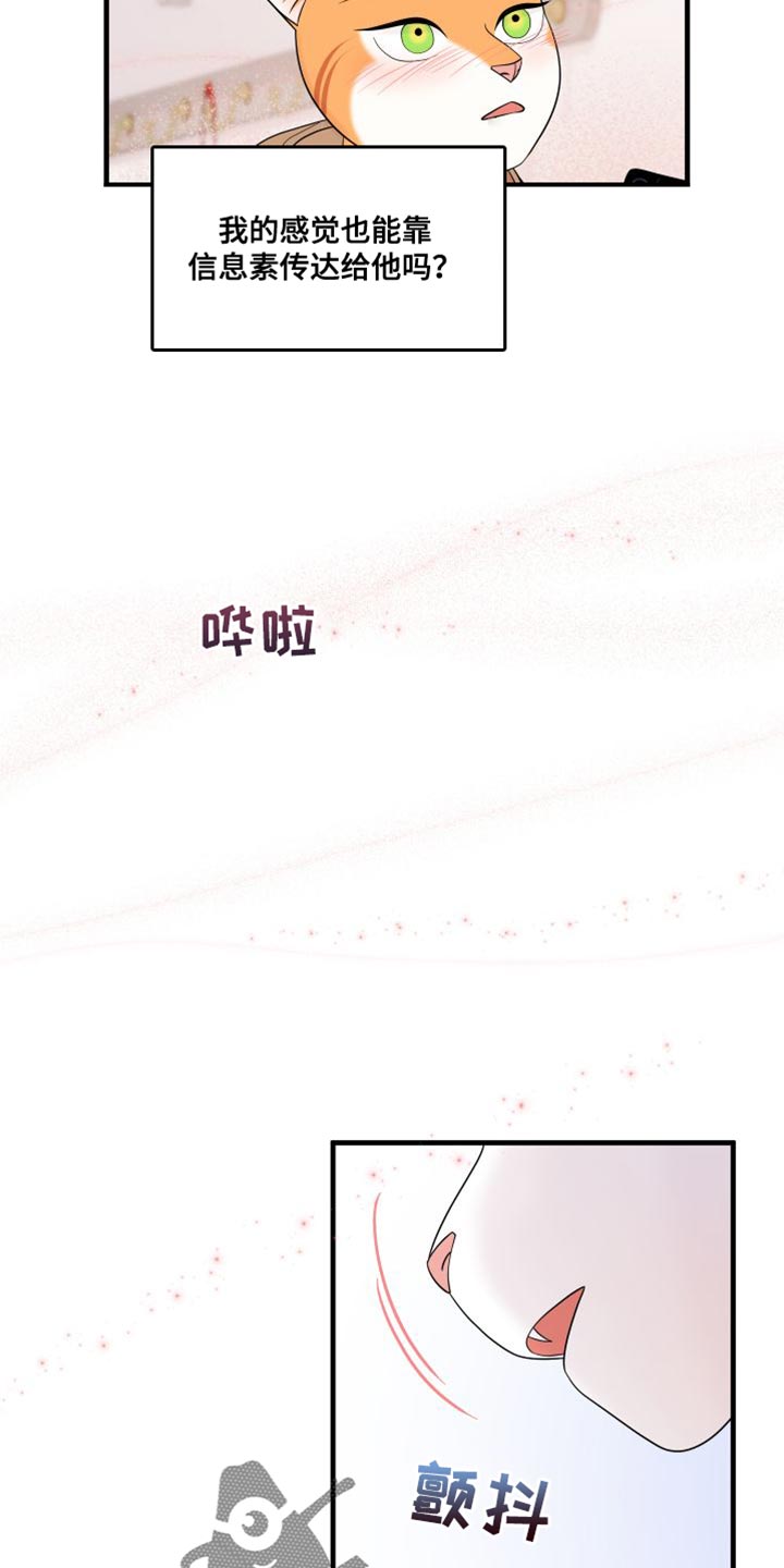 灵猫欧米伽免费漫画,第104话1图