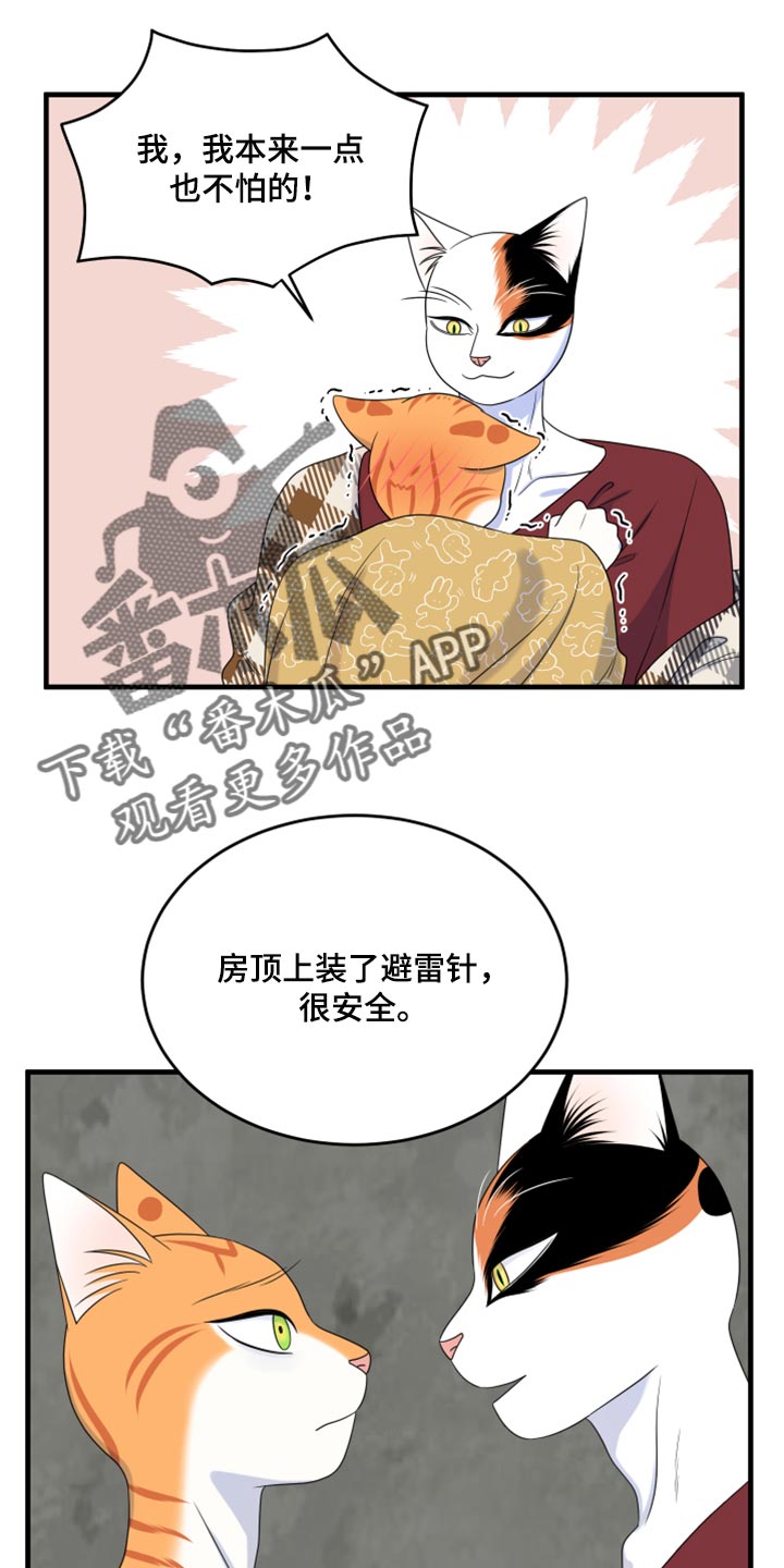 灵猫欧米伽漫画在哪看漫画,第89话1图