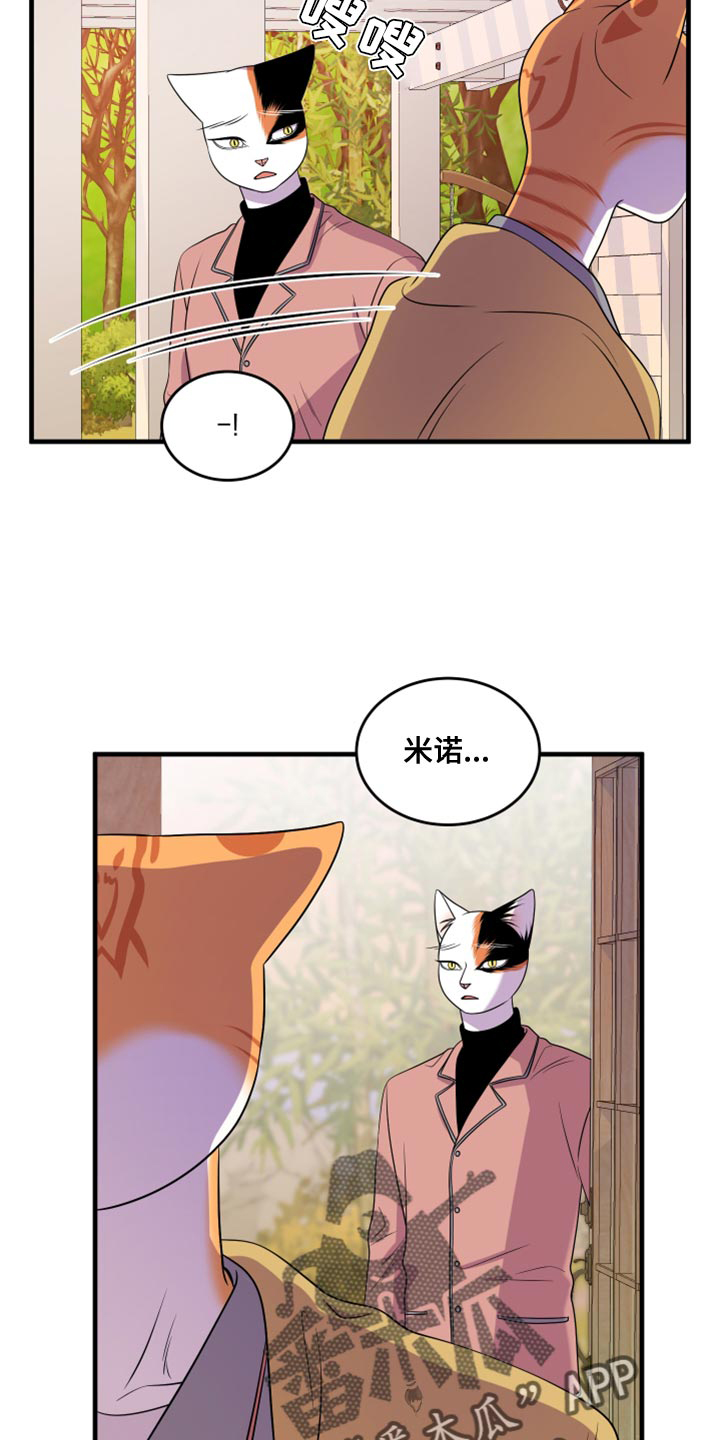灵猫欧米伽漫画,第99话1图