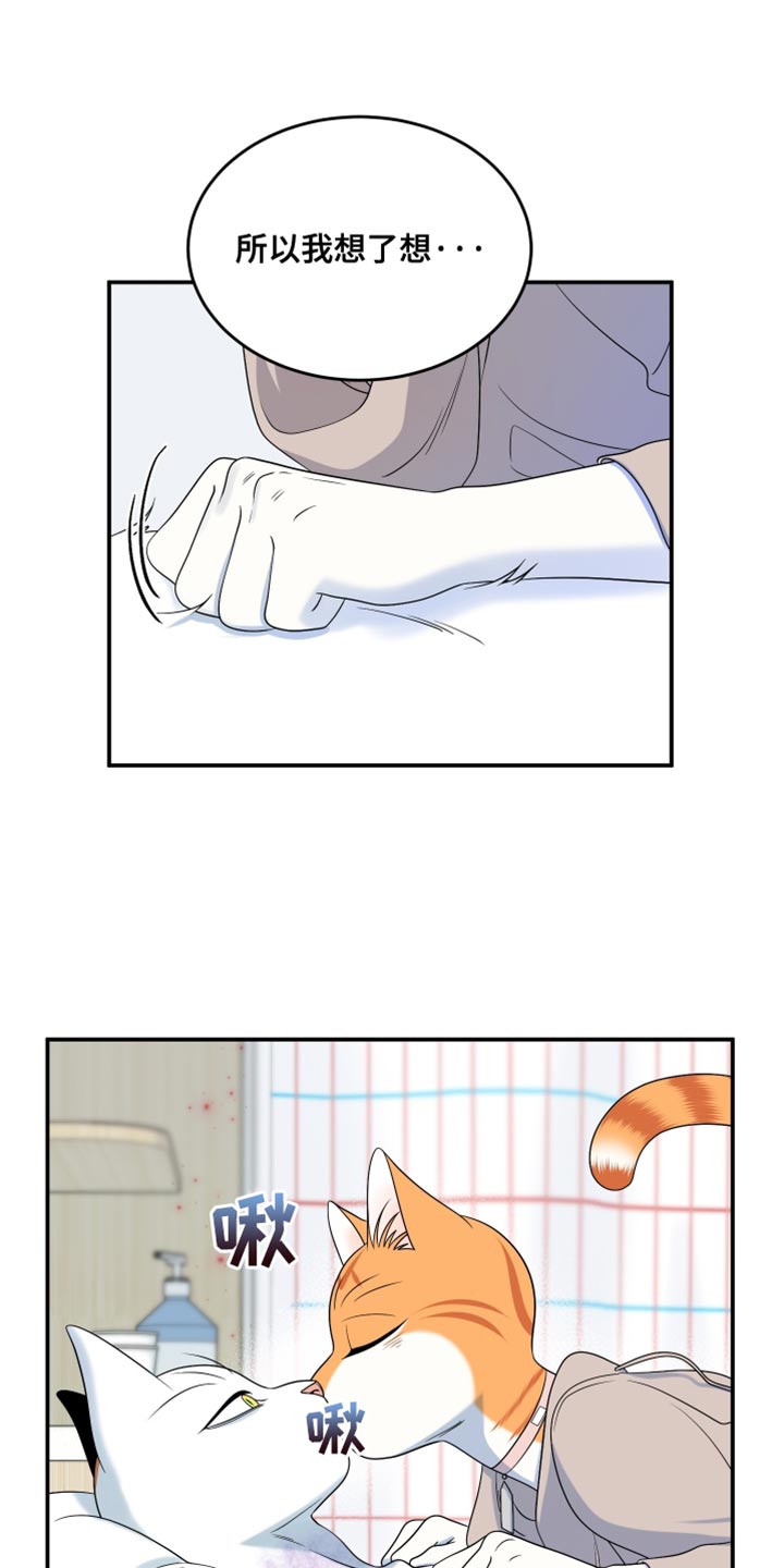 灵猫欧米伽漫画,第167话1图