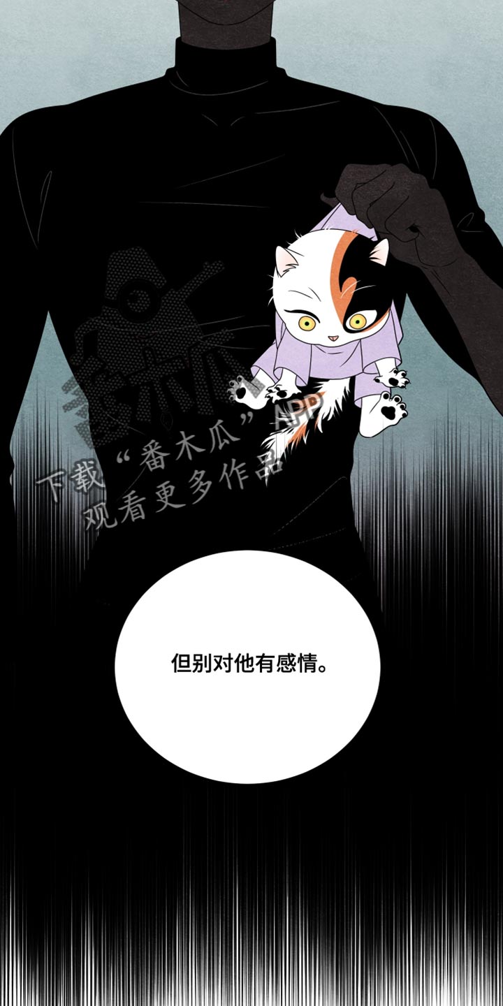 灵猫欧米伽免费版在哪里看漫画,第157话1图