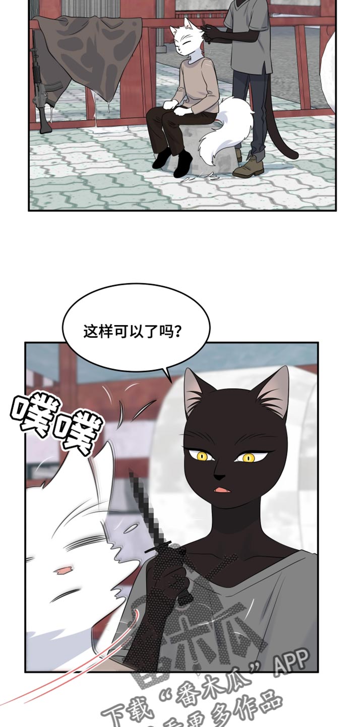 灵猫传汪苏泷漫画,第142话1图