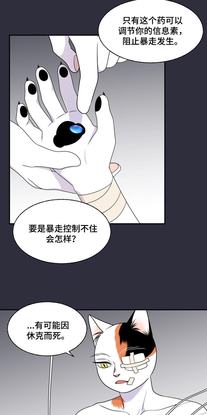 灵猫欧米伽免费阅读漫画,第52话2图