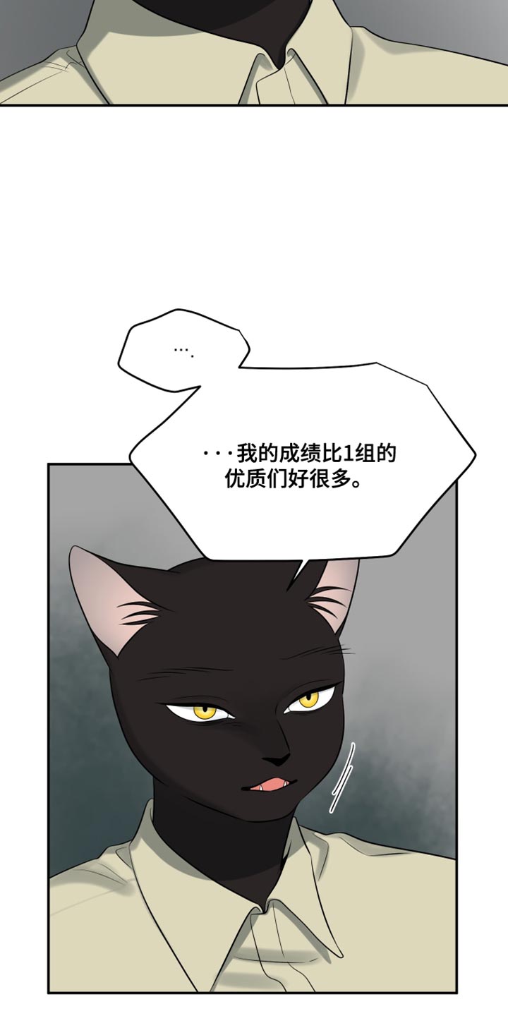 灵猫欧米伽漫画免费双男主漫画,第151话2图