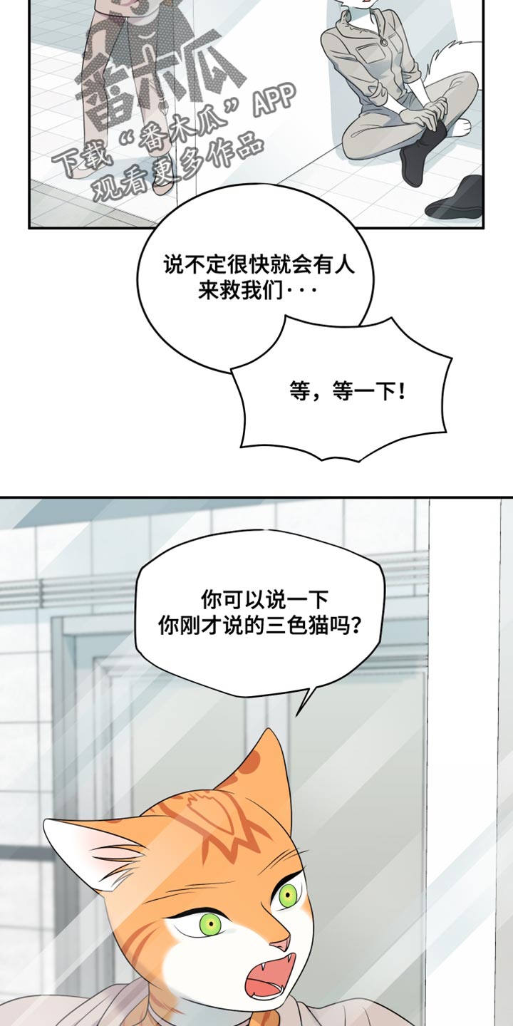 灵猫欧米伽漫画,第134话1图