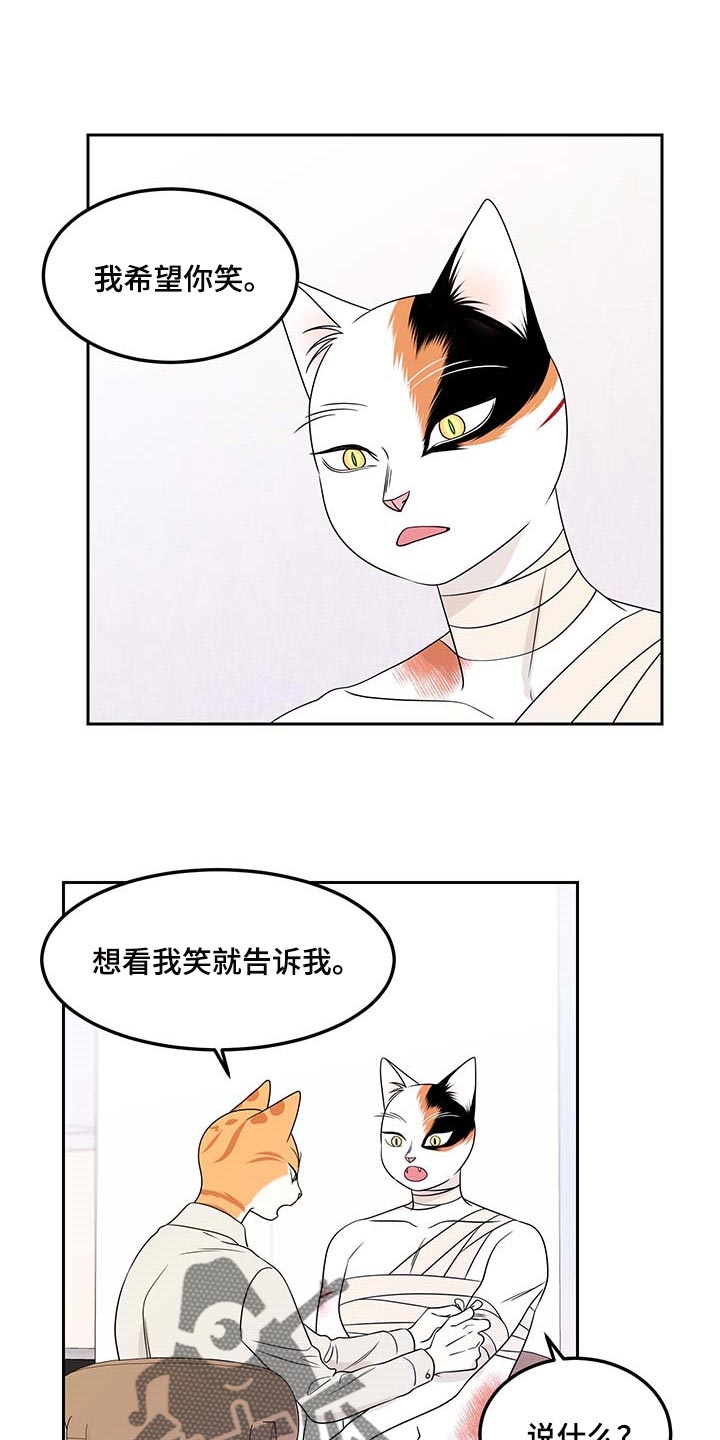 灵猫欧米伽在哪里免费看漫画,第46话1图