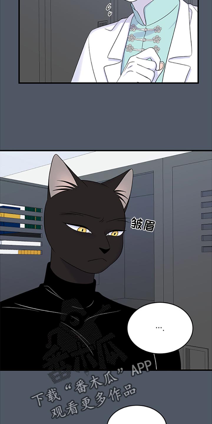 灵猫传1-8剧情漫画,第78话1图