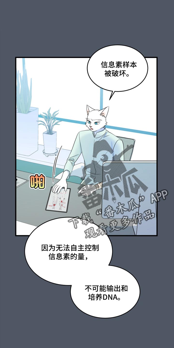 灵猫传歌曲漫画,第86话1图