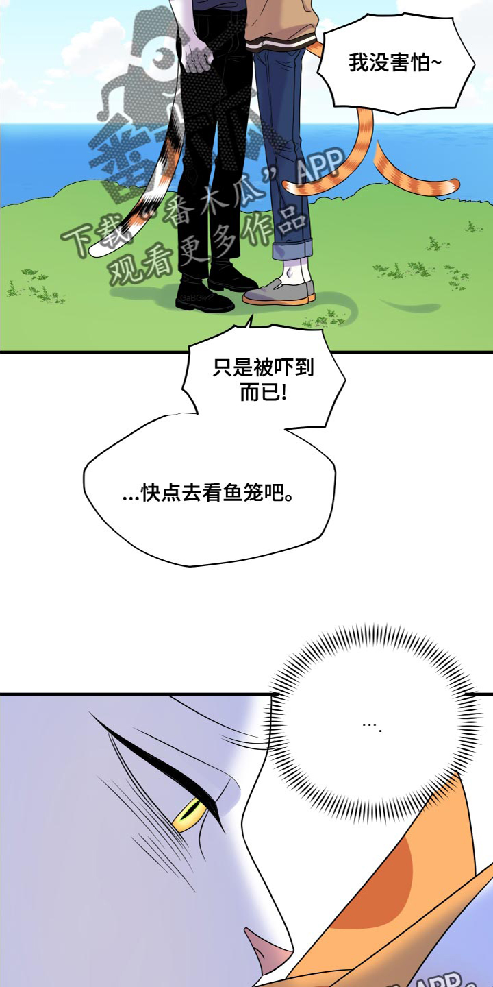 灵猫传1-8剧情漫画,第95话1图